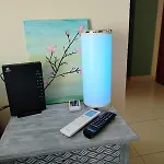 Sunny Nest *
